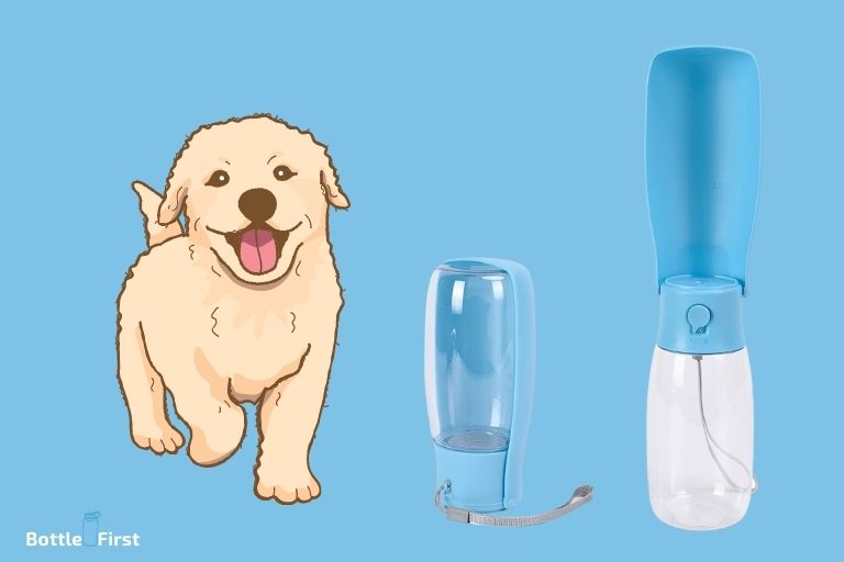 Diy Portable Dog Water Bottle
