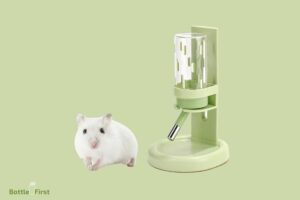 How to Put a Hamster Water Bottle in a Tank? 8 Easy Steps!