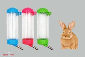 How to Teach a Rabbit to Drink from Water Bottle? 7 Steps!