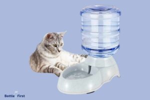 How to Teach Cat to Drink from Water Bottle? 10 Easy Steps!