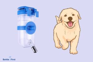 How to Train Dog to Use Water Bottle in Crate? 8 Easy Steps!