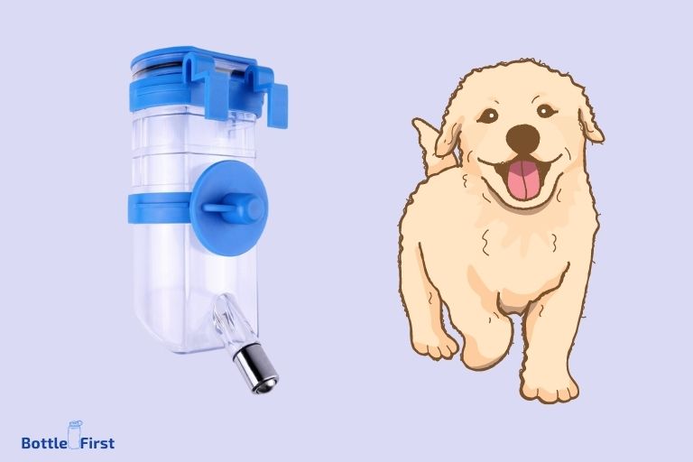 How To Train Dog To Use Water Bottle In Crate