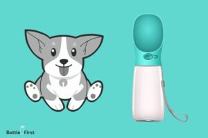 How to Use Dog Water Bottle? 8 Easy & Quick Steps!