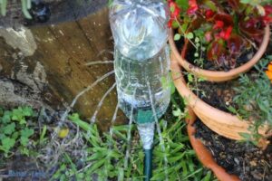 Water Bottle Upcycling Ideas: Eco-Friendliness!