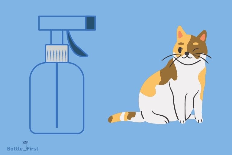 alternative to spray bottle for cats
