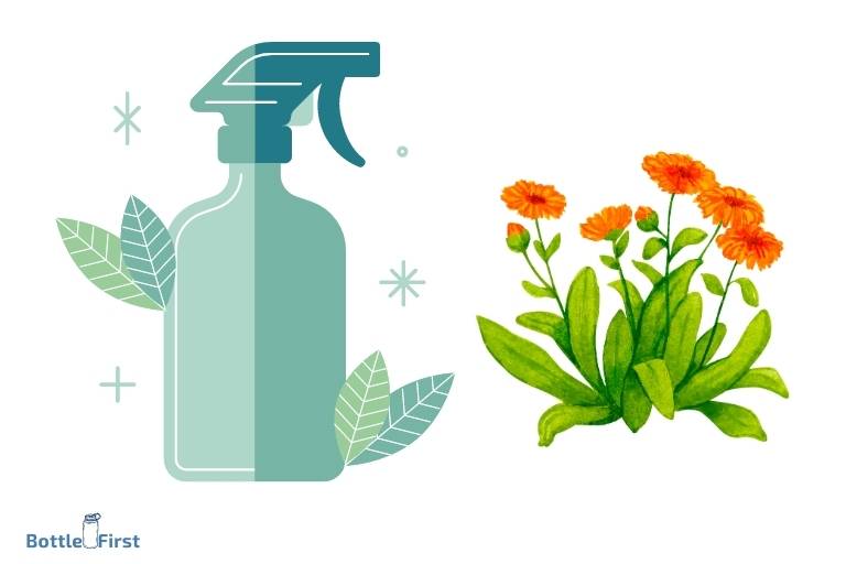 diy spray bottle for plants