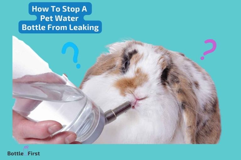 How To Stop A Pet Water Bottle From Leaking
