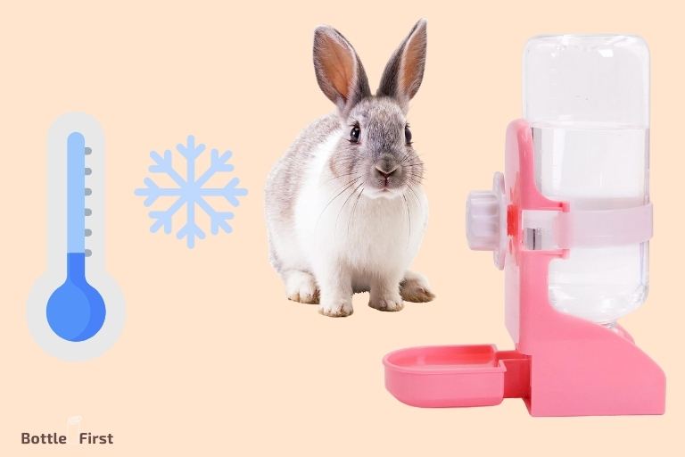how to keep rabbit water bottles from freezing