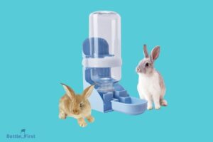 How to Make a Rabbit Water Bottle? 6 Easy Steps!