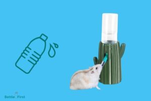 How to Stop Hamster Water Bottle from Leaking? 7 Solutions!