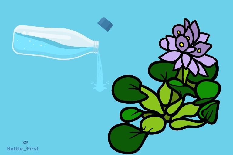 how to use water bottles to water plants