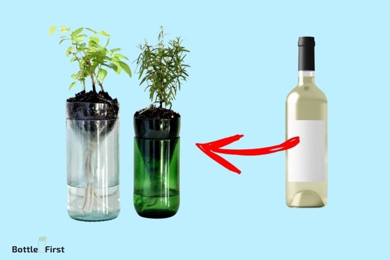 How To Use Wine Bottles To Water Plants? 7 Easy Steps!