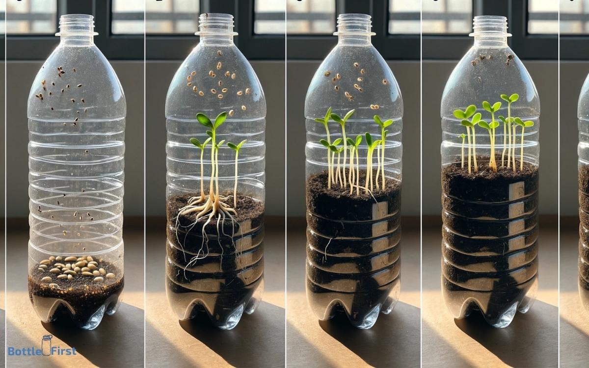 How to Germinate Seeds in Water Bottle