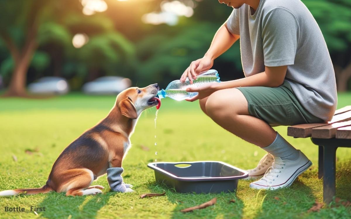 How to Give a Dog Water from a Bottle