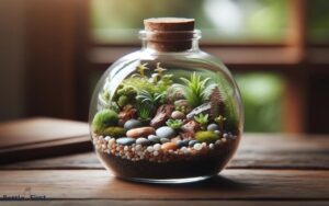 How to Make a Terrarium in a Glass Bottle? 6 Easy Steps!