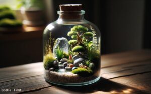 How to Make an Ecosystem in a Glass Bottle? 5 Easy Steps!