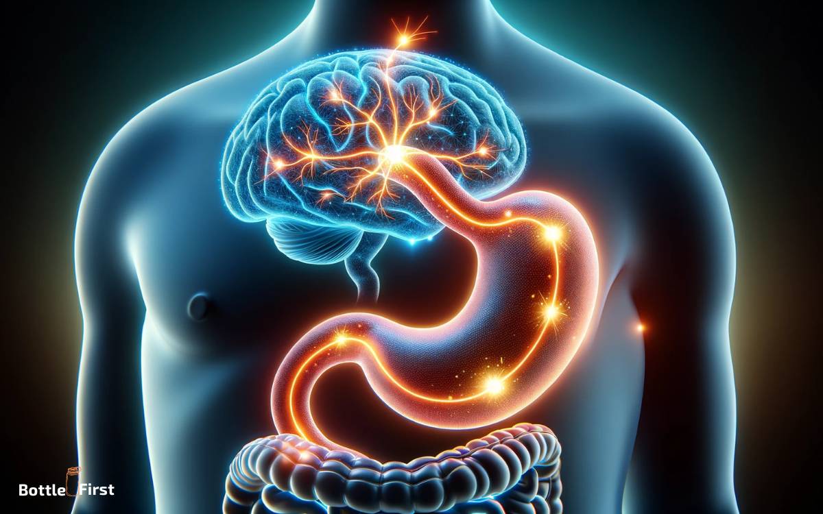 The Gut brain Connection